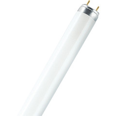 Fluorescente  T8/58w
