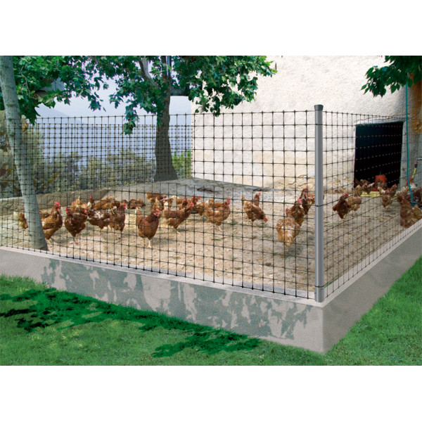 Malla gallinera Avinet 36